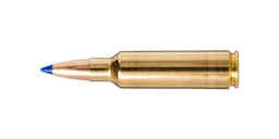 .300 Winchester Short Magnum Ammo