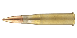 8x56R Ammo