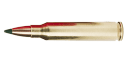 5.56x45mm NATO Ammo