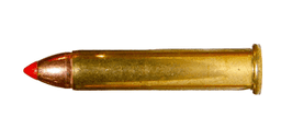 .22 WMR Ammo