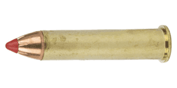 .45-70 Government Ammo