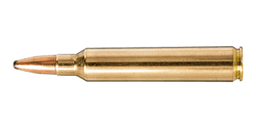 .300 RUM Ammo
