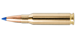 .308 Winchester Ammo