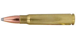 8mm Mauser Ammo