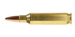 22 Nosler Ammo