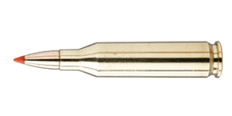 .243 Winchester Ammo