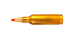 .17 Hornet Ammo