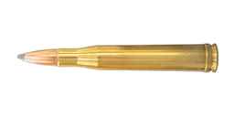 300 H&H Magnum Ammo