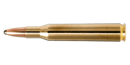 .270 Winchester Ammo