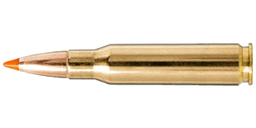 7mm-08 Remmington Ammo