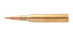 25-06 Remington Ammo