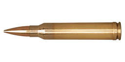 .300 Winchester Magnum Ammo