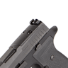 Sig Sauer P320 AXG Pro X-Series 9mm Pistol optics mounting plate